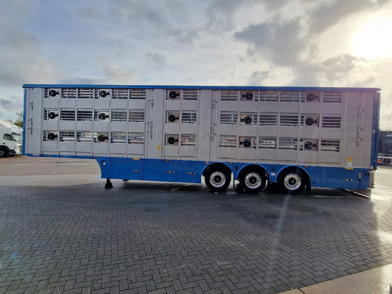 Pezzaioli New 3 stock livestock trailer 95.4M2 - Water & Ventilation - Lifting floors - Lifting roof - Lift axle - نصف مقطورة لنقل الحيوانات: صورة 5 Pezzaioli New 3 stock livestock trailer 95.4M2 - Water & Ventilation - Lifting floors - Lifting roof - Lift axle - نصف مقطورة لنقل الحيوانات: صورة 5