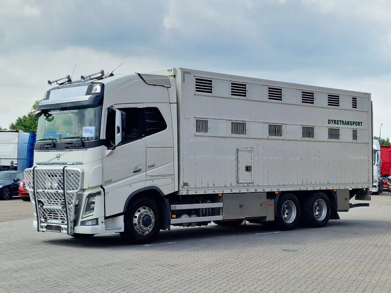 Volvo FH 16.750 6x6/6x4 2 deck livestock - Full air - VEB + - شاحنة نقل المواشي: صورة 5 Volvo FH 16.750 6x6/6x4 2 deck livestock - Full air - VEB + - شاحنة نقل المواشي: صورة 5