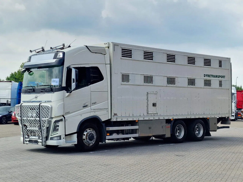 Volvo FH 16.750 6x6/6x4 - Only chassis - VEB + - Full air - شاحنة هيكل كابينة: صورة 5 Volvo FH 16.750 6x6/6x4 - Only chassis - VEB + - Full air - شاحنة هيكل كابينة: صورة 5