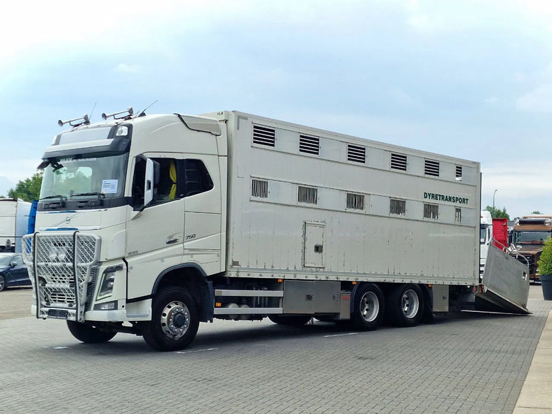 Volvo FH 16.750 6x6/6x4 - Only chassis - VEB + - Full air - شاحنة هيكل كابينة: صورة 4 Volvo FH 16.750 6x6/6x4 - Only chassis - VEB + - Full air - شاحنة هيكل كابينة: صورة 4