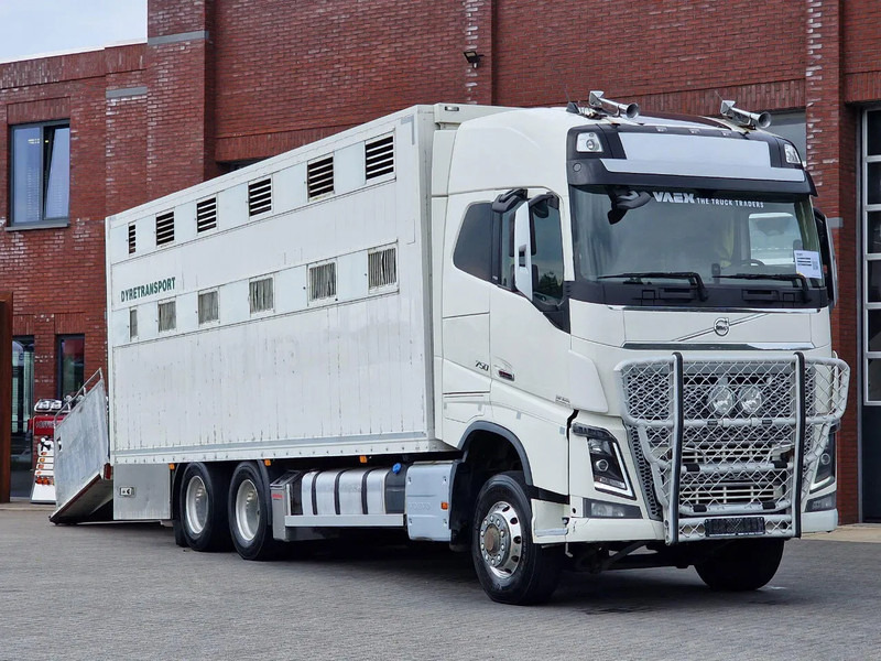 Volvo FH 16.750 6x6/6x4 - Only chassis - VEB + - Full air - شاحنة هيكل كابينة: صورة 1 Volvo FH 16.750 6x6/6x4 - Only chassis - VEB + - Full air - شاحنة هيكل كابينة: صورة 1