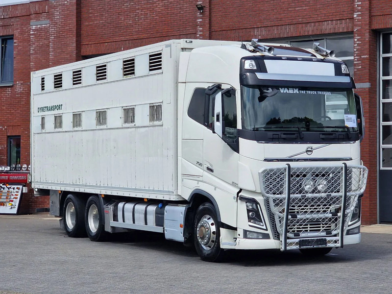 Volvo FH 16.750 6x6/6x4 - Only chassis - VEB + - Full air - شاحنة هيكل كابينة: صورة 2 Volvo FH 16.750 6x6/6x4 - Only chassis - VEB + - Full air - شاحنة هيكل كابينة: صورة 2