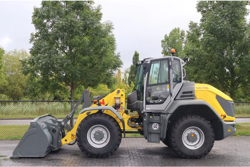 WACKER NEUSON WL95 | NEW - UNUSED | 40 KM/H | FULL OPTION! - اللودر بعجل: صورة 1 WACKER NEUSON WL95 | NEW - UNUSED | 40 KM/H | FULL OPTION! - اللودر بعجل: صورة 1