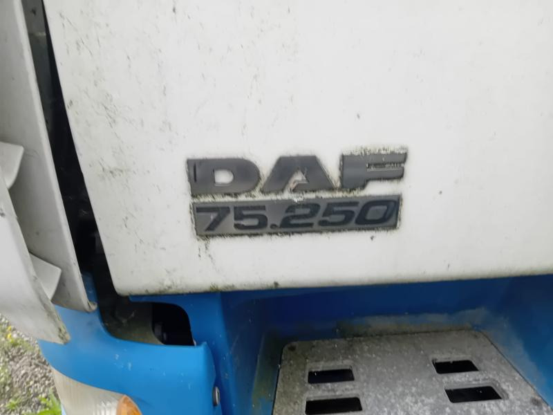 DAF CF 75.250 - شاحنة مقفلة: صورة 2 DAF CF 75.250 - شاحنة مقفلة: صورة 2