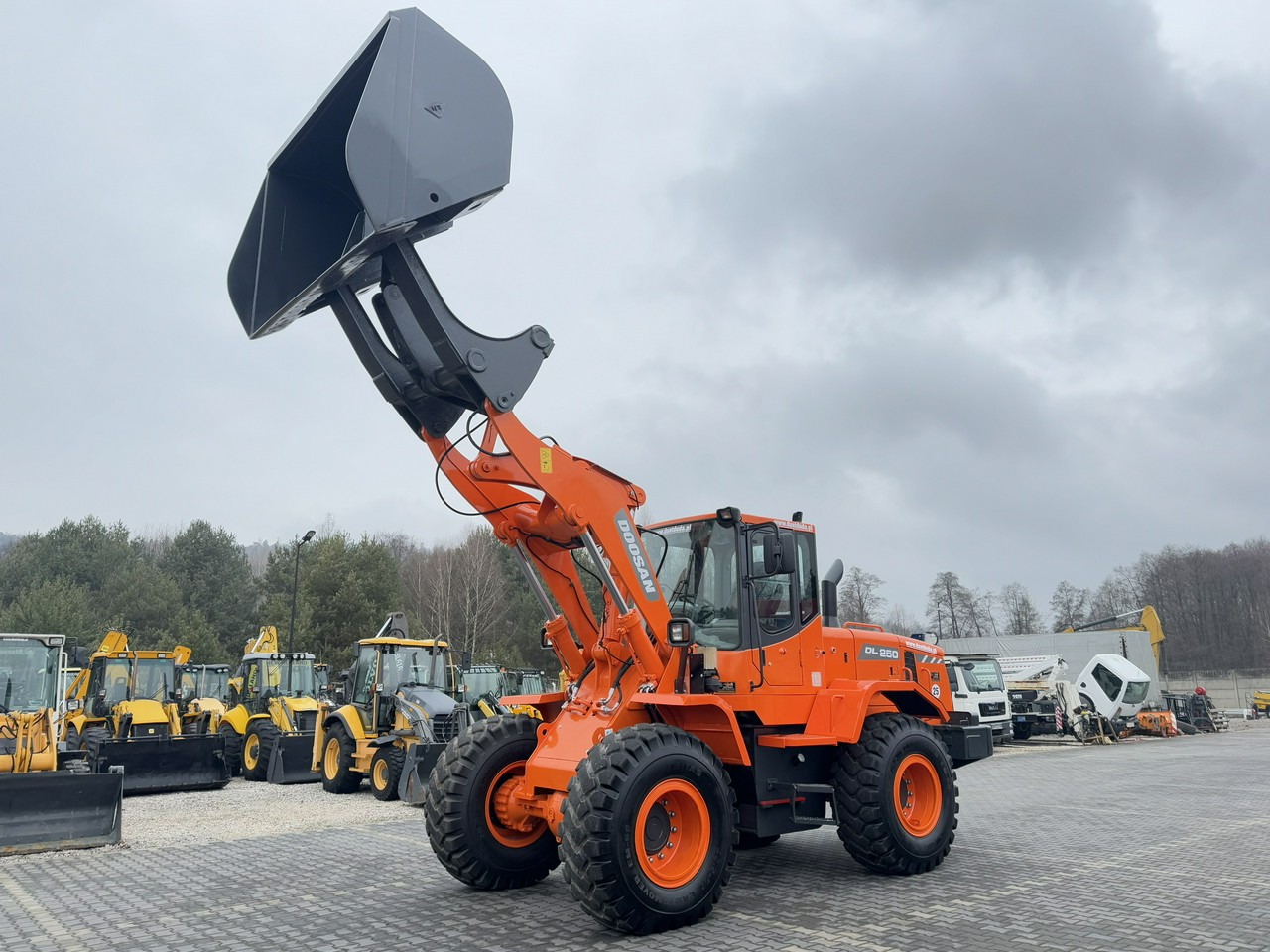 اللودر بعجل Doosan DL250 14,5Ton Łyżka Wysokiego Wysypu !!!: صورة 8