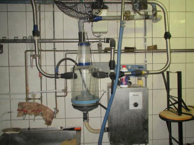 Melkanlage  Melkanlage: صورة 8