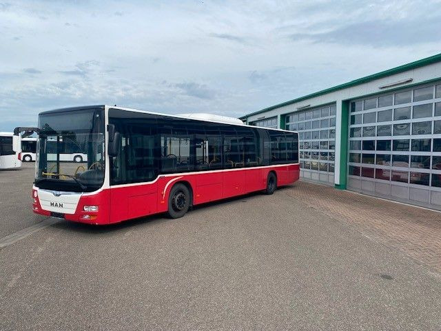 MAN A 21 Lions City KLIMA EURO 6 ZF EcoLife 2x - حافلة المدينة: صورة 5 MAN A 21 Lions City KLIMA EURO 6 ZF EcoLife 2x - حافلة المدينة: صورة 5