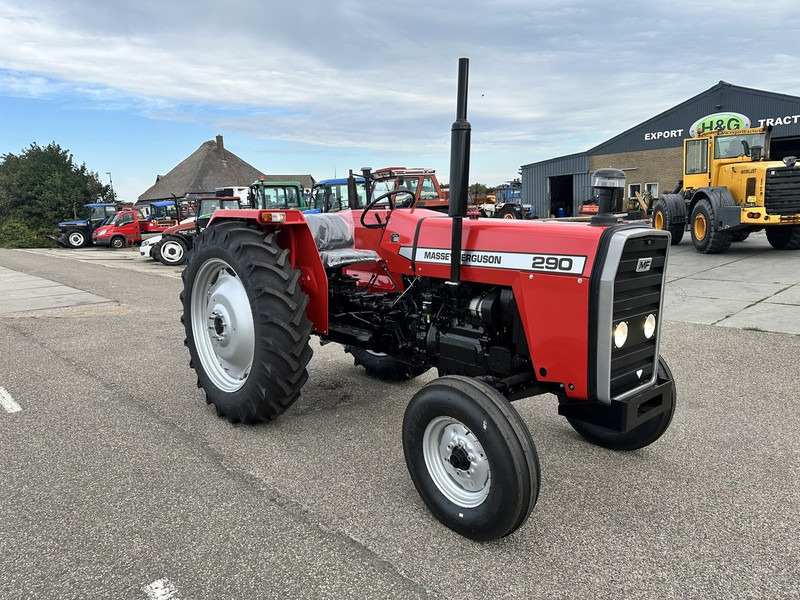 Massey Ferguson 290 - جرار: صورة 3 Massey Ferguson 290 - جرار: صورة 3