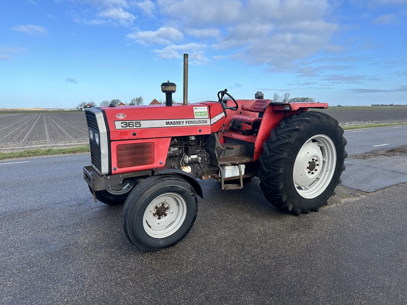 Massey Ferguson 365 - جرار: صورة 1 Massey Ferguson 365 - جرار: صورة 1