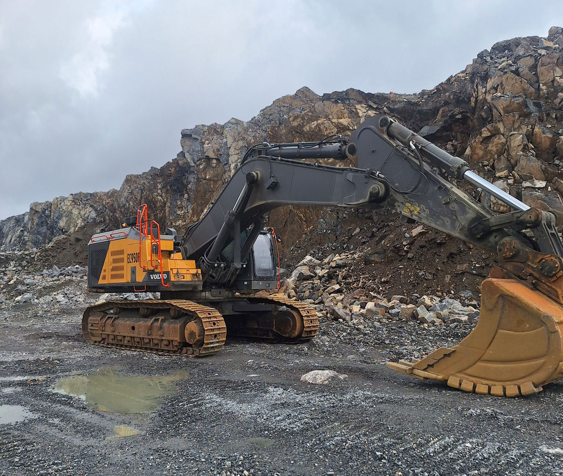 Volvo EC950FL - حفار زحاف: صورة 3 Volvo EC950FL - حفار زحاف: صورة 3