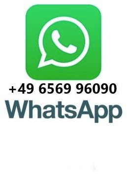 Fliegl TPS 240 3- Achs Kombi Anhänger - Blattfederung- - مقطورة هوك ليفت/ لود لوجر: صورة 2 Fliegl TPS 240 3- Achs Kombi Anhänger - Blattfederung- - مقطورة هوك ليفت/ لود لوجر: صورة 2