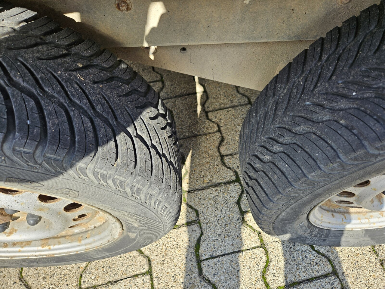 Blomert T2BPA Pferdeanhänger T2BPA Pferdeanhänger - عربة نقل خيل: صورة 5 Blomert T2BPA Pferdeanhänger T2BPA Pferdeanhänger - عربة نقل خيل: صورة 5