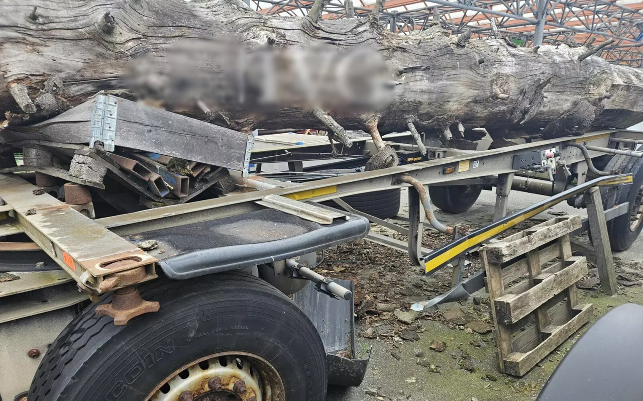 Schmitz Cargobull AWF 18 AWF 18, Verzinkt - مقطورة نقل الحاويات: صورة 3 Schmitz Cargobull AWF 18 AWF 18, Verzinkt - مقطورة نقل الحاويات: صورة 3
