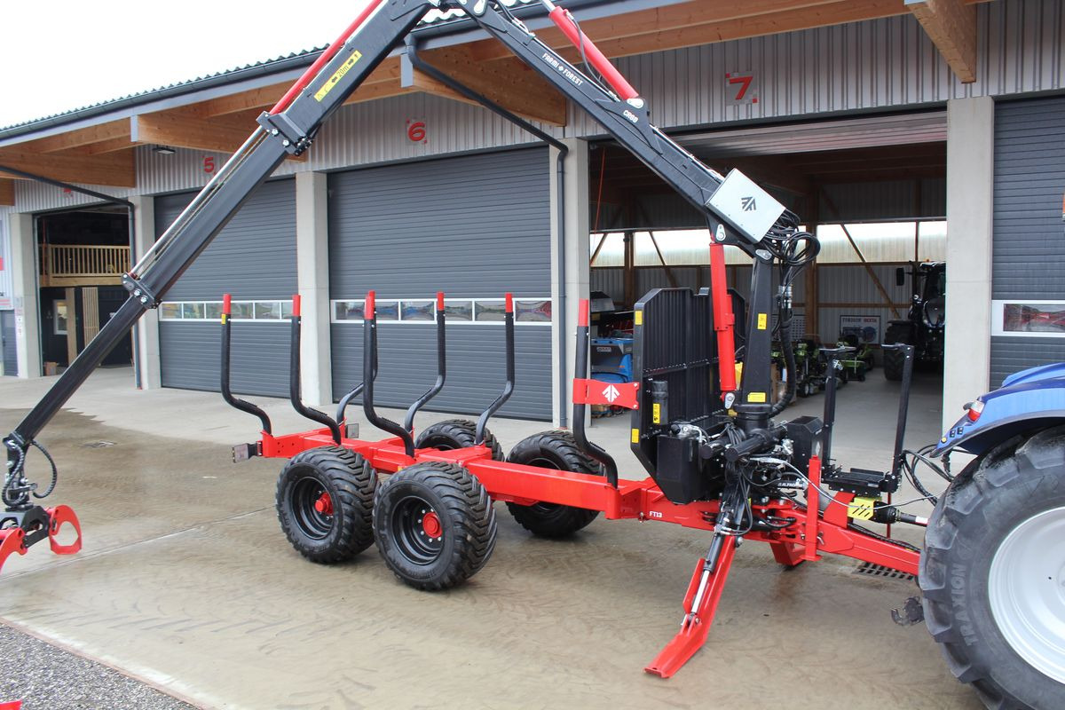 جديدة مقطورة الغابات Farmi Rückewagen 17 to-9m Kran- Black Bruin: صورة 1