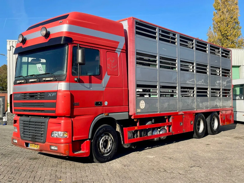DAF XF 95.430 BERDEX 3 decks. Water, fans, Scales! Excellent condition. - شاحنة نقل المواشي: صورة 2 DAF XF 95.430 BERDEX 3 decks. Water, fans, Scales! Excellent condition. - شاحنة نقل المواشي: صورة 2