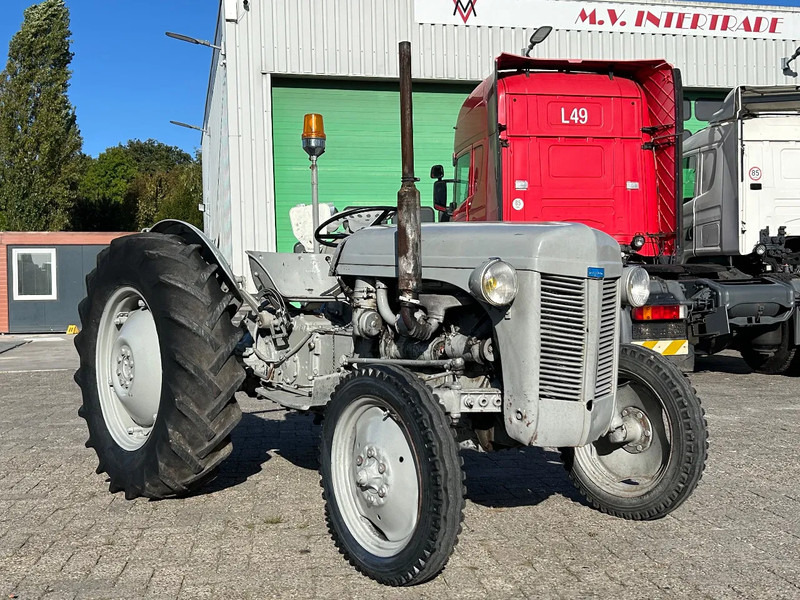 Diversen FERGUSON tractor - جرار: صورة 2 Diversen FERGUSON tractor - جرار: صورة 2