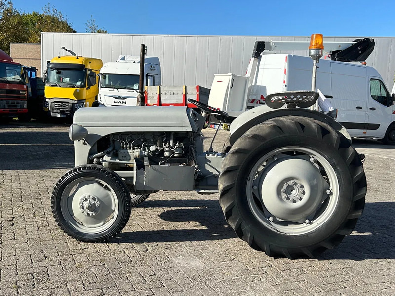 Diversen FERGUSON tractor - جرار: صورة 1 Diversen FERGUSON tractor - جرار: صورة 1
