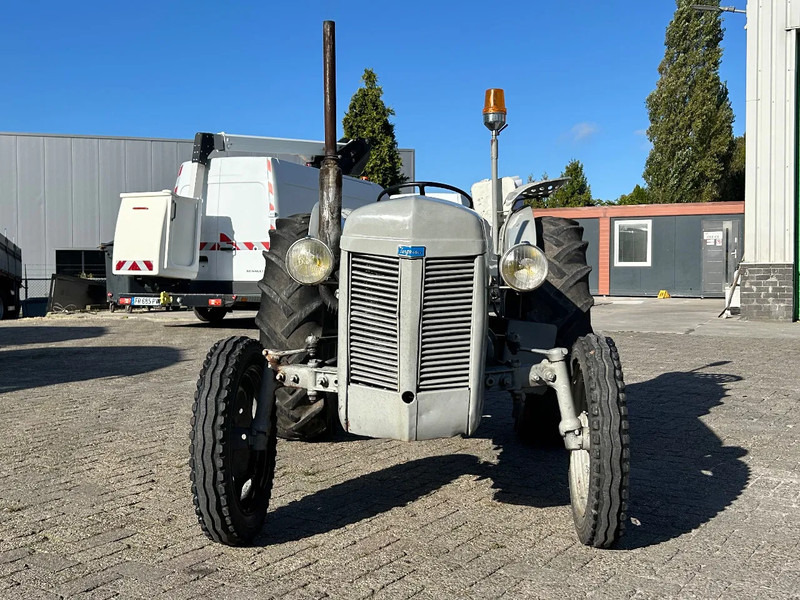 Diversen FERGUSON tractor - جرار: صورة 5 Diversen FERGUSON tractor - جرار: صورة 5