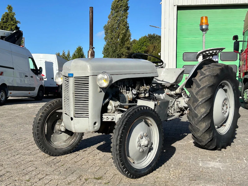 Diversen FERGUSON tractor - جرار: صورة 3 Diversen FERGUSON tractor - جرار: صورة 3