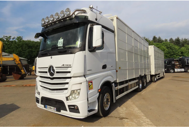 Mercedes-Benz Actros 2551 BERDEX 3 decks, All options + Berdex 12/ 2007 - شاحنة نقل المواشي: صورة 3 Mercedes-Benz Actros 2551 BERDEX 3 decks, All options + Berdex 12/ 2007 - شاحنة نقل المواشي: صورة 3