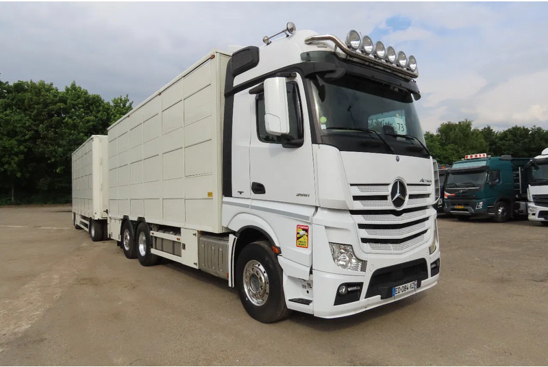 Mercedes-Benz Actros 2551 BERDEX 3 decks, All options + Berdex 12/ 2007 - شاحنة نقل المواشي: صورة 1 Mercedes-Benz Actros 2551 BERDEX 3 decks, All options + Berdex 12/ 2007 - شاحنة نقل المواشي: صورة 1
