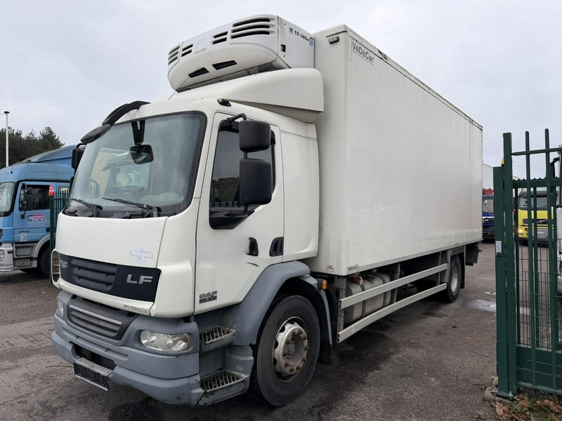 DAF LF 55.300 - 19T FRIGO THERMOKING TS-300e - TAILLIFT - BOX 6m45 x 2m49 x 2m49 - EURO 5 - A/C - BE TRUCK - شاحنة الفريزر: صورة 3 DAF LF 55.300 - 19T FRIGO THERMOKING TS-300e - TAILLIFT - BOX 6m45 x 2m49 x 2m49 - EURO 5 - A/C - BE TRUCK - شاحنة الفريزر: صورة 3
