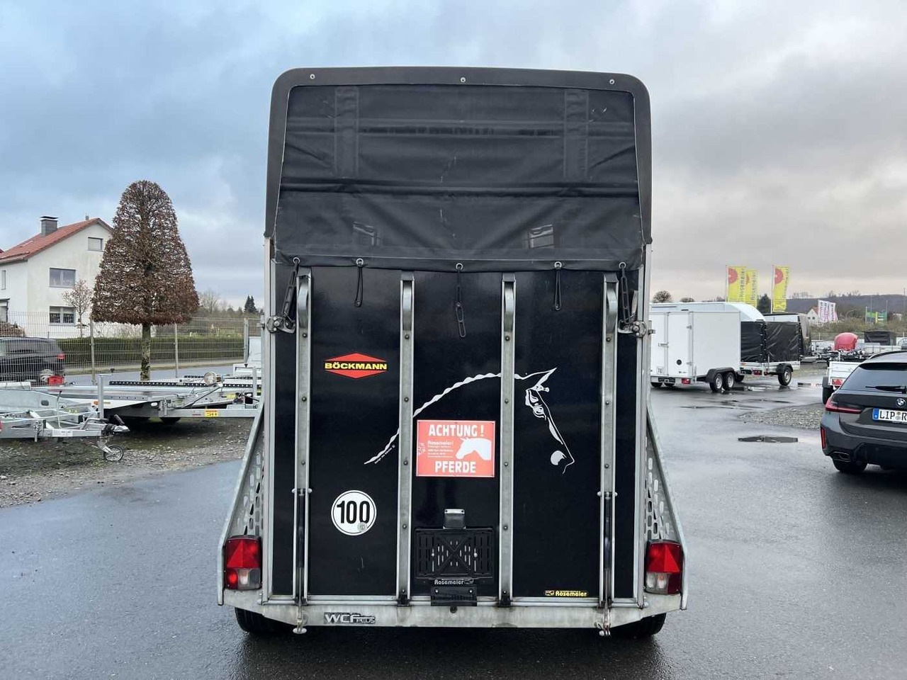 BOECKMANN Master S - WCF ALB Pferdeanhänger - عربة نقل خيل: صورة 3 BOECKMANN Master S - WCF ALB Pferdeanhänger - عربة نقل خيل: صورة 3
