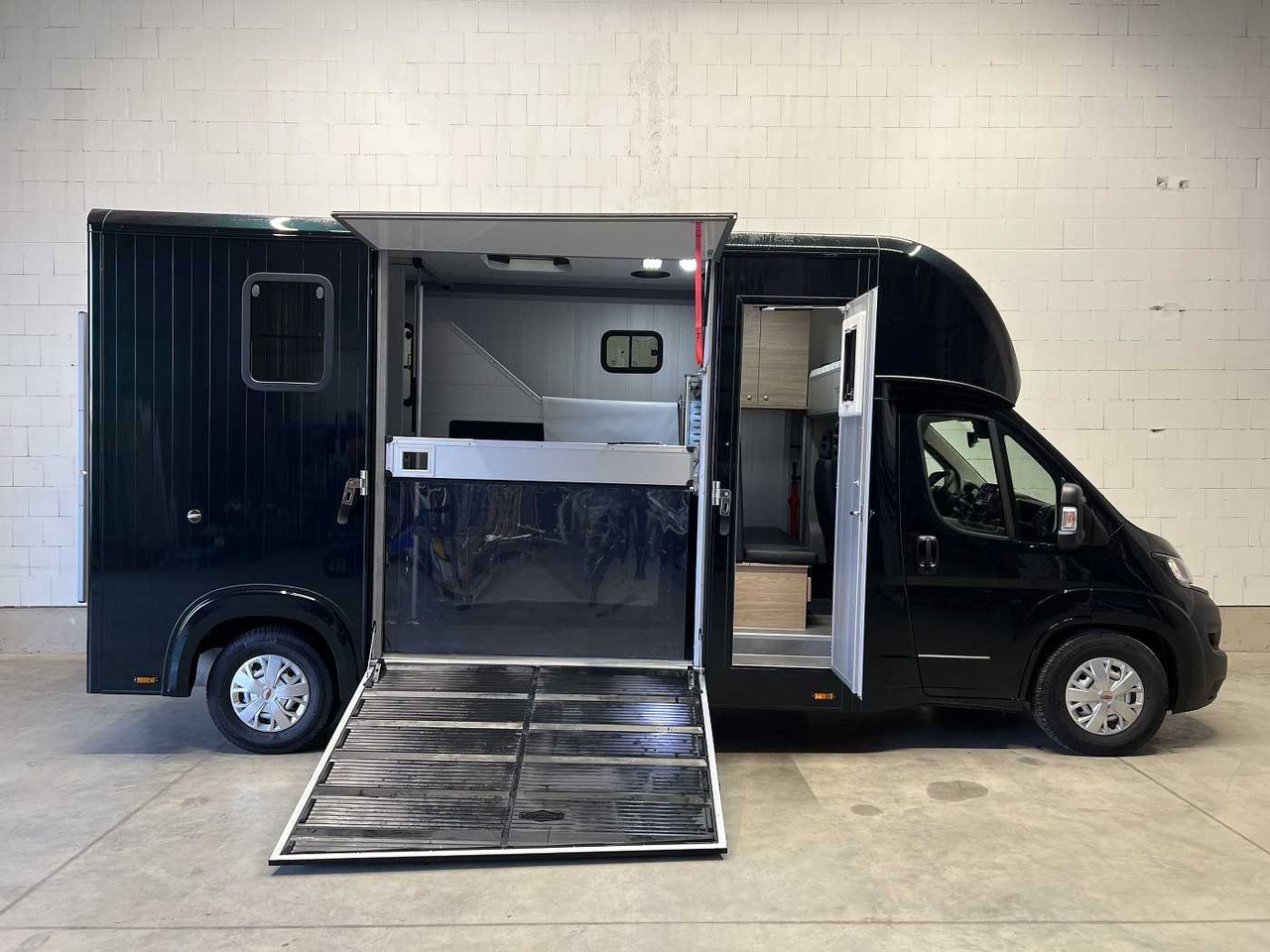 Fiat Böckmann Compact L+ Stall Tour LKW - شاحنة نقل خيل: صورة 4 Fiat Böckmann Compact L+ Stall Tour LKW - شاحنة نقل خيل: صورة 4