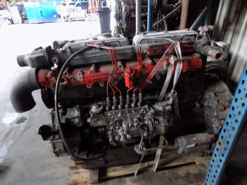 DAF 825 motor van daf typ 85 euro 2 - محرك - شاحنة: صورة 1 DAF 825 motor van daf typ 85 euro 2 - محرك - شاحنة: صورة 1