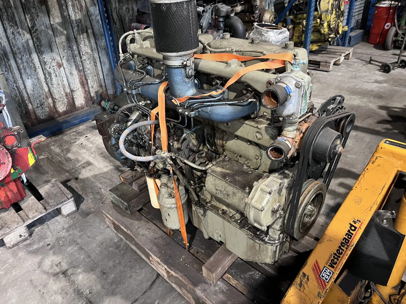 DAF DH 825 daf - MEERDERE OP VOORRAAD - محرك - شاحنة: صورة 1 DAF DH 825 daf - MEERDERE OP VOORRAAD - محرك - شاحنة: صورة 1