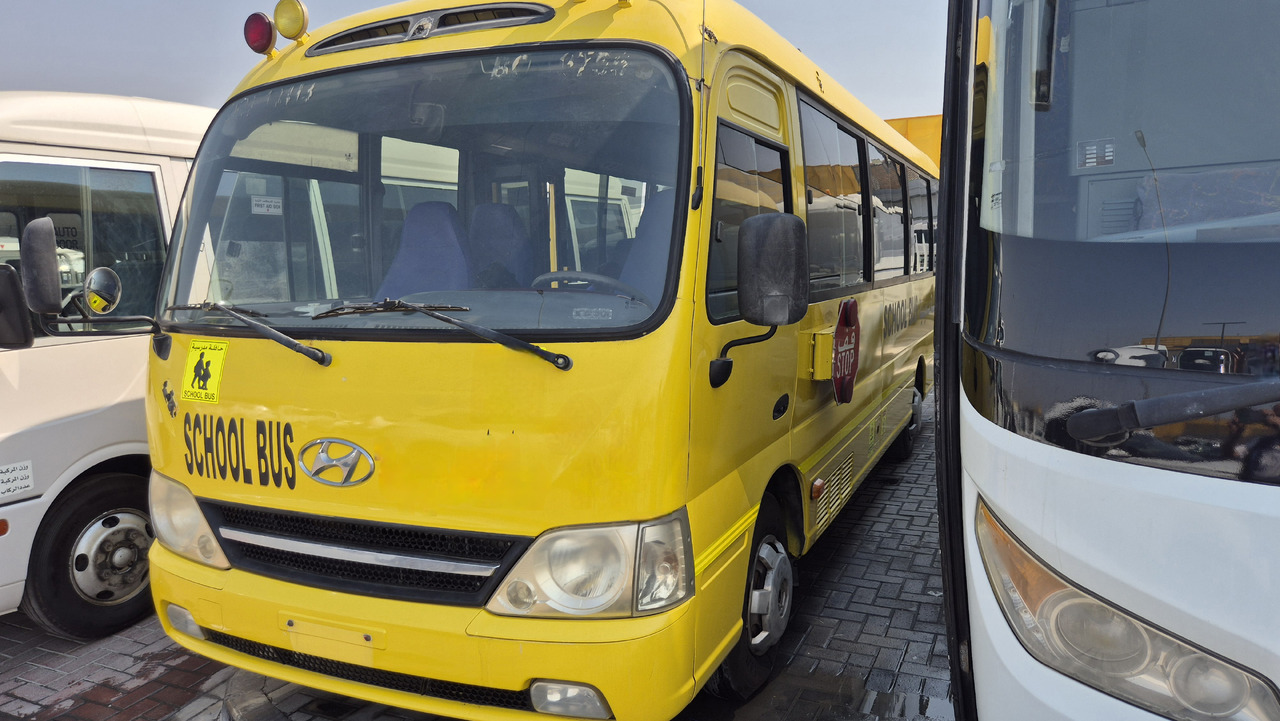 Toyota Coaster // Hyundai County... 30 places ... Climatisé - حافلة صغيرة, ميكروباص: صورة 2 Toyota Coaster // Hyundai County... 30 places ... Climatisé - حافلة صغيرة, ميكروباص: صورة 2