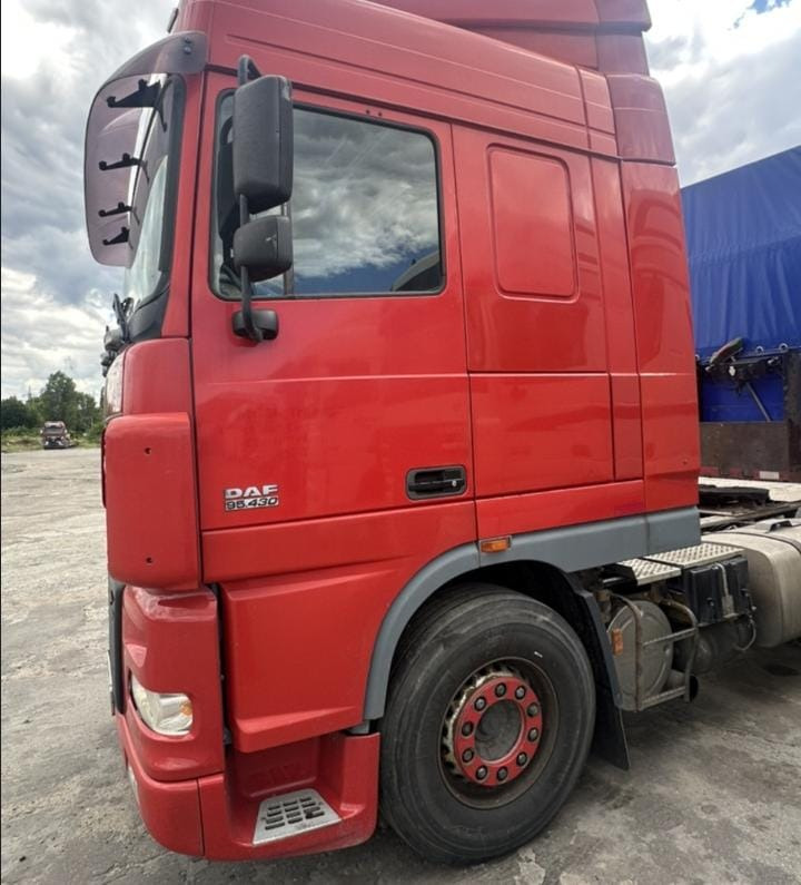 DAF XF 95 - وحدة جر: صورة 3 DAF XF 95 - وحدة جر: صورة 3