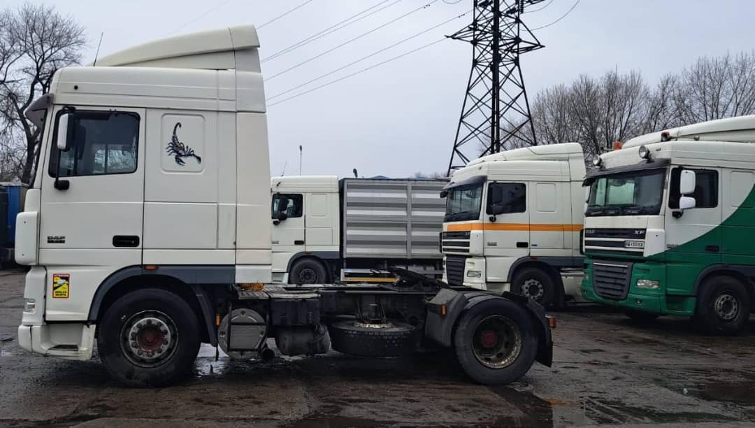 DAF XF 95 - وحدة جر: صورة 4 DAF XF 95 - وحدة جر: صورة 4