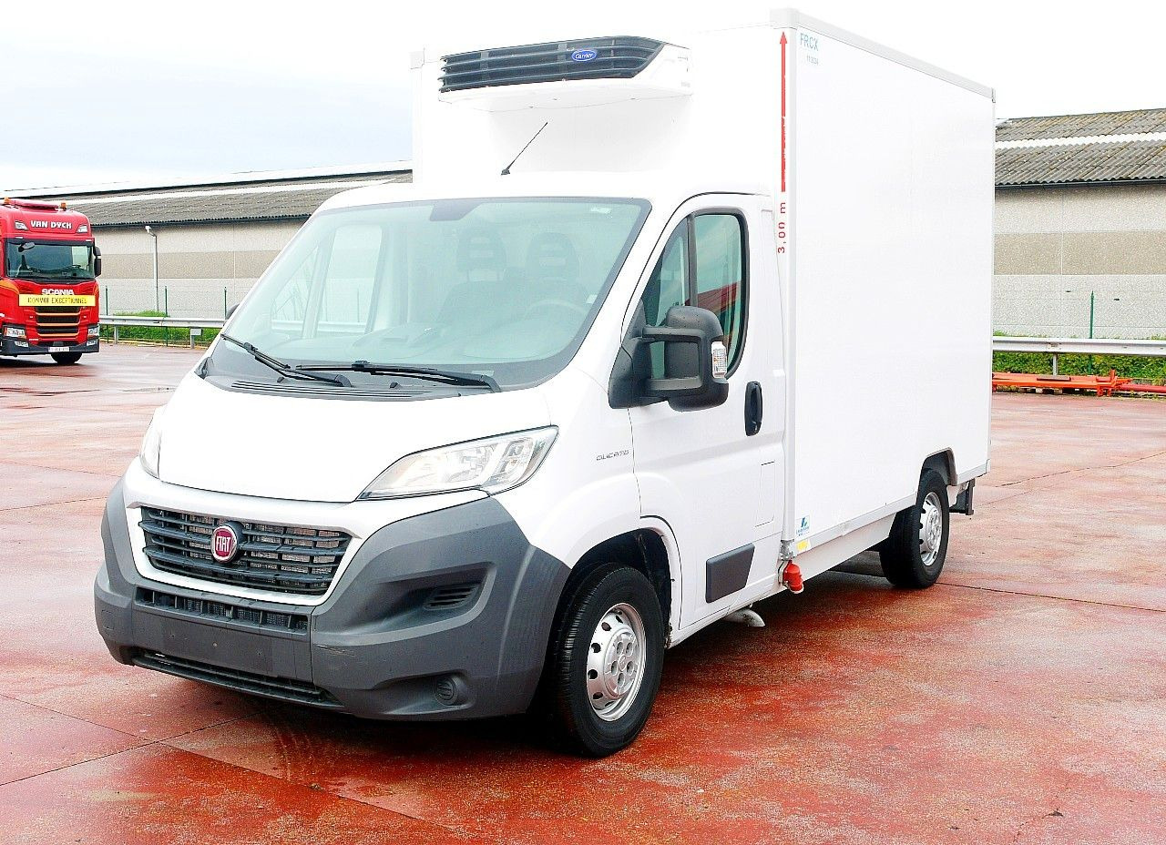 Fiat DUCATO 2.3 KUHLKOFFER FLEISH HAKEN CARRIER -20C - شاحنة مُبرّدة للتوصيل: صورة 5 Fiat DUCATO 2.3 KUHLKOFFER FLEISH HAKEN CARRIER -20C - شاحنة مُبرّدة للتوصيل: صورة 5