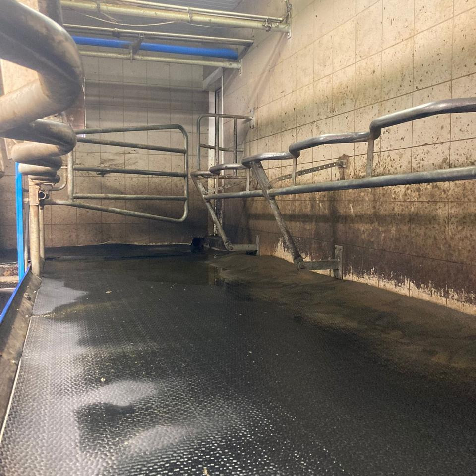 DeLaval Fischgrätenmelkstand Doppel 10er - معدات الحلب: صورة 2 DeLaval Fischgrätenmelkstand Doppel 10er - معدات الحلب: صورة 2