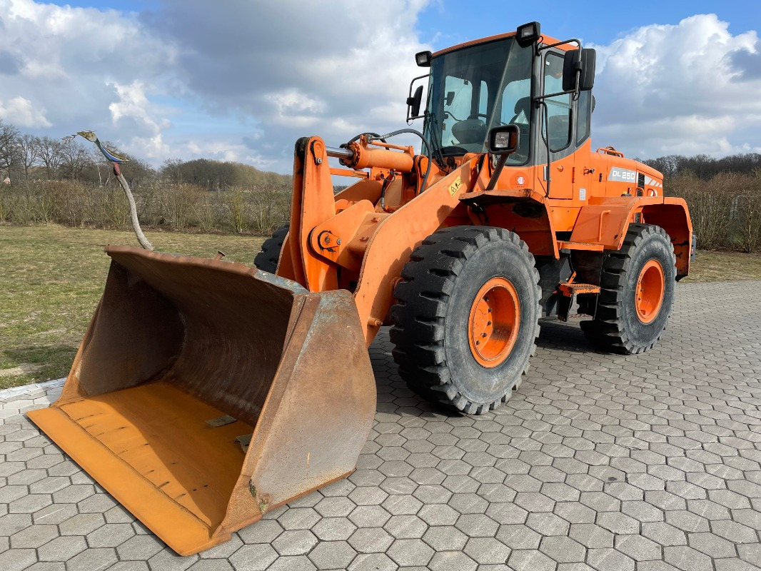 Doosan DL250 - اللودر بعجل: صورة 1 Doosan DL250 - اللودر بعجل: صورة 1