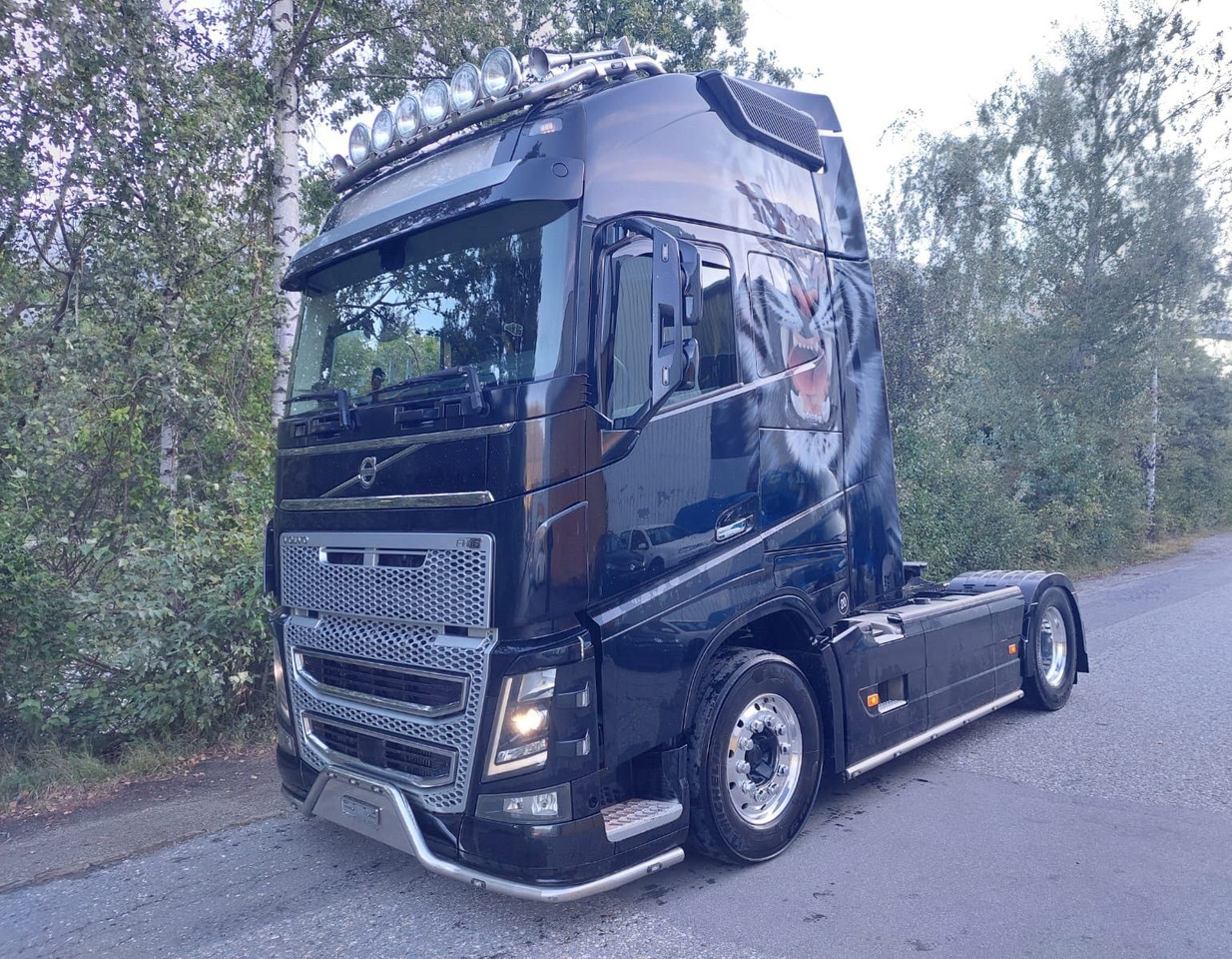 Volvo FH16-650 4x2, Euro 6, VEB, airbrush - وحدة جر: صورة 1 Volvo FH16-650 4x2, Euro 6, VEB, airbrush - وحدة جر: صورة 1