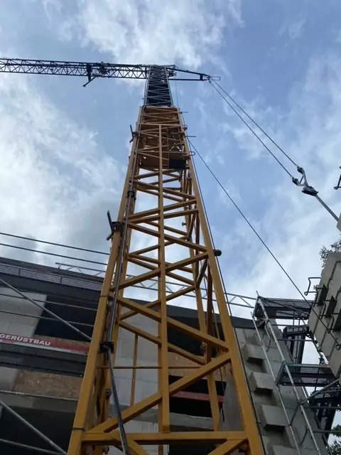 2015 Liebherr 81K - رافعة ذاتية التركيب: صورة 2 2015 Liebherr 81K - رافعة ذاتية التركيب: صورة 2
