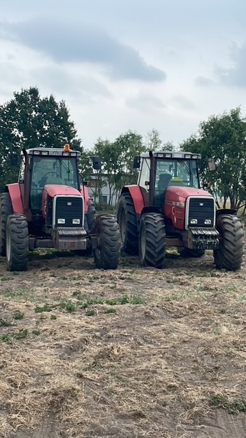 Massey ferguson 8110-8160 części skrzynia biegów zwolnica - صندوق التروس - الآلات الزراعية: صورة 1 Massey ferguson 8110-8160 części skrzynia biegów zwolnica - صندوق التروس - الآلات الزراعية: صورة 1
