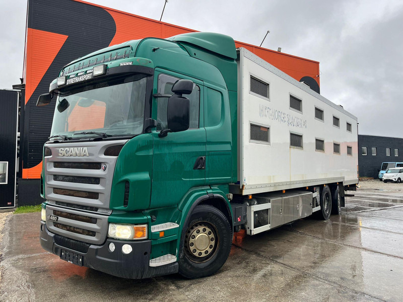 Scania G 480 6x2*4 BOX L=9212 mm / COOLANT LEAKAGE ON 3 RD CYLINDER - شاحنة نقل المواشي: صورة 2 Scania G 480 6x2*4 BOX L=9212 mm / COOLANT LEAKAGE ON 3 RD CYLINDER - شاحنة نقل المواشي: صورة 2