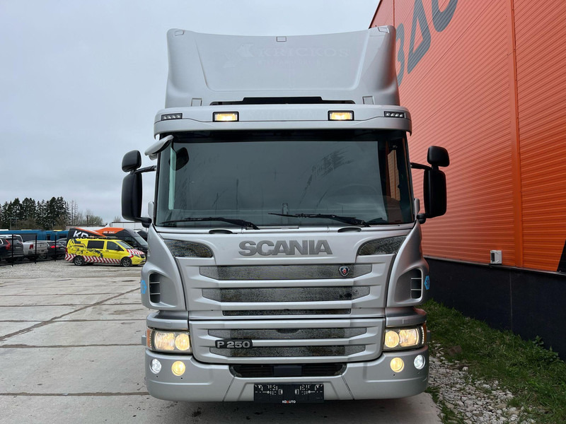 Scania P 250 4x2 THERMOKING / BOX L=6440 mm - شاحنة الفريزر: صورة 2 Scania P 250 4x2 THERMOKING / BOX L=6440 mm - شاحنة الفريزر: صورة 2