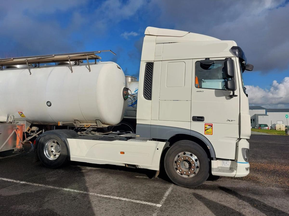 DAF XF 480 - وحدة جر: صورة 3 DAF XF 480 - وحدة جر: صورة 3