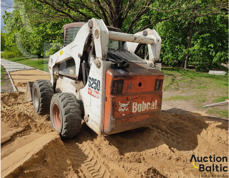 Bobcat S 250 - شيول صغير: صورة 3 Bobcat S 250 - شيول صغير: صورة 3