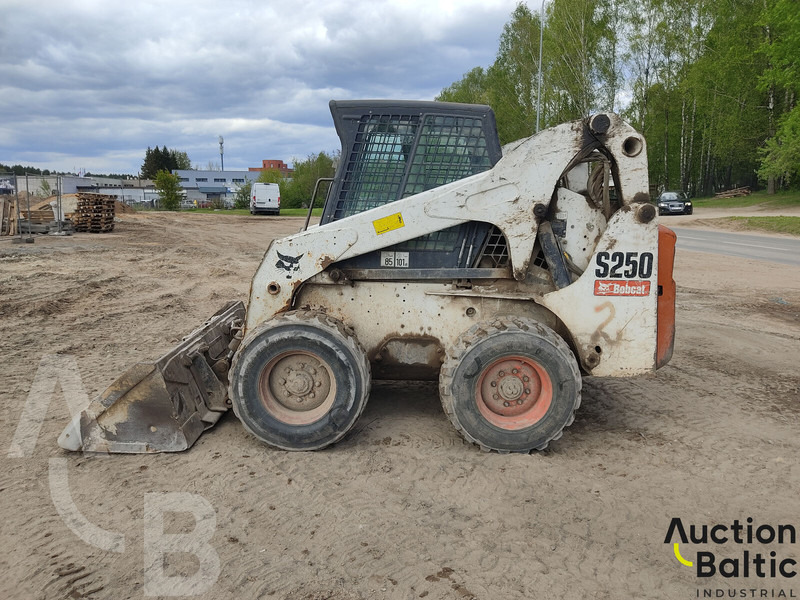 Bobcat S 250 - شيول صغير: صورة 3 Bobcat S 250 - شيول صغير: صورة 3