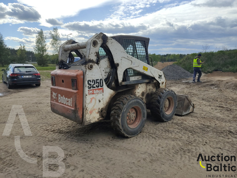 Bobcat S 250 - شيول صغير: صورة 4 Bobcat S 250 - شيول صغير: صورة 4