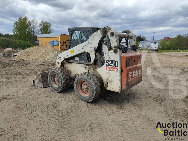 Bobcat S 250 - شيول صغير: صورة 5 Bobcat S 250 - شيول صغير: صورة 5