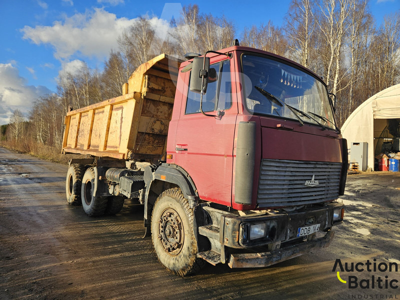 Maz 551669 - شاحنة قلاب: صورة 1 Maz 551669 - شاحنة قلاب: صورة 1