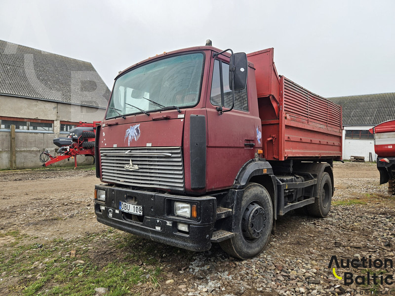 Maz 555132 - شاحنة قلاب: صورة 1 Maz 555132 - شاحنة قلاب: صورة 1