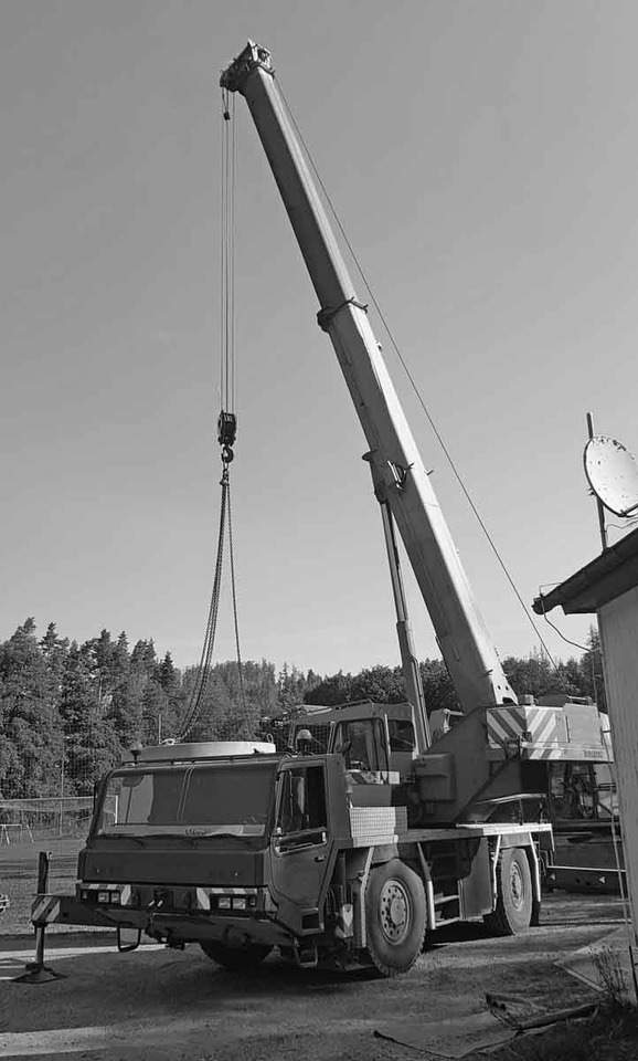 Faun ATF30-2L – Mobile crane / Mobilkran - موبايل كرين: صورة 1 Faun ATF30-2L – Mobile crane / Mobilkran - موبايل كرين: صورة 1