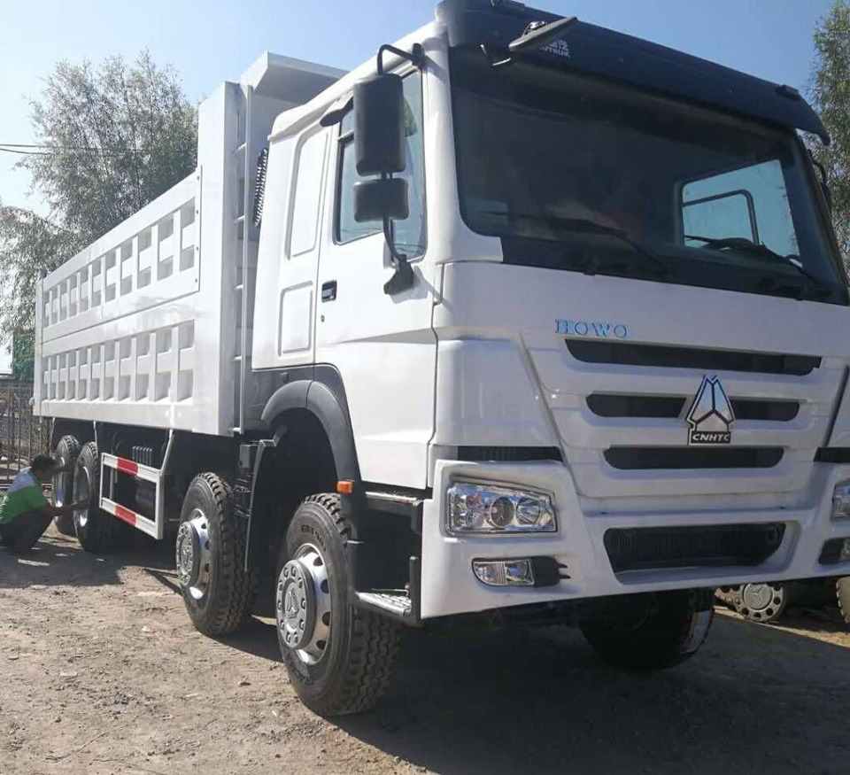 Sinotruk Howo - شاحنة قلاب: صورة 2 Sinotruk Howo - شاحنة قلاب: صورة 2